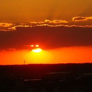 Meet your Posher, Trudy